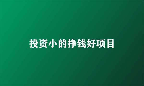 投资小的挣钱好项目