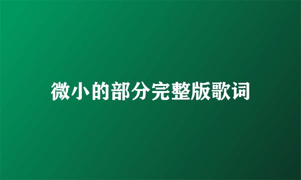 微小的部分完整版歌词