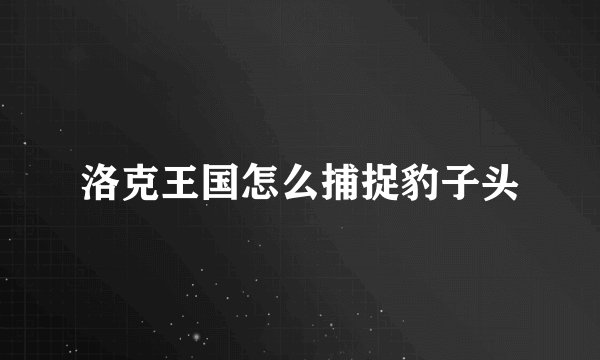 洛克王国怎么捕捉豹子头