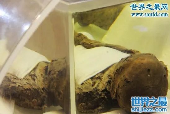 江苏泰州明代不腐女尸,经千年鲜如活人(慎入)