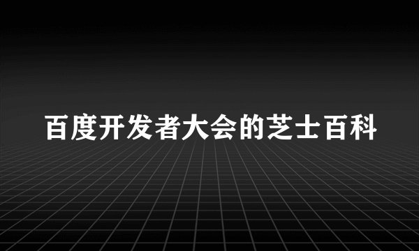 百度开发者大会的芝士百科