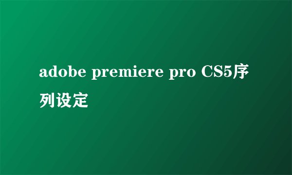 adobe premiere pro CS5序列设定