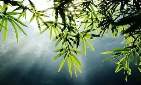 杜牧临终前对子女说了什么?他的一生是怎样的?