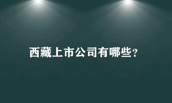 西藏上市公司有哪些？
