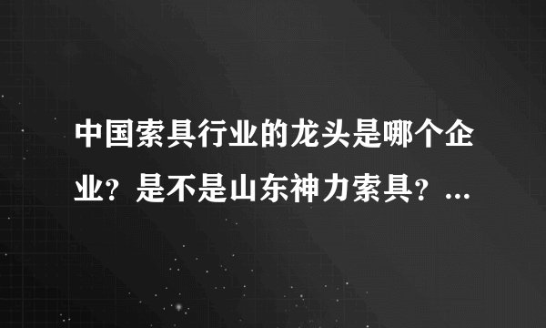 中国索具行业的龙头是哪个企业?是不是山东神力索具?听很多人说神力索具是中国索具业最信得过的企业。