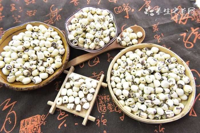 有一种金身银鬃的马被誉为来自上帝的承诺
