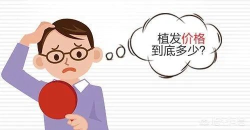 鲁尼植发大概花了多少钱?