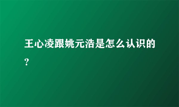 王心凌跟姚元浩是怎么认识的？