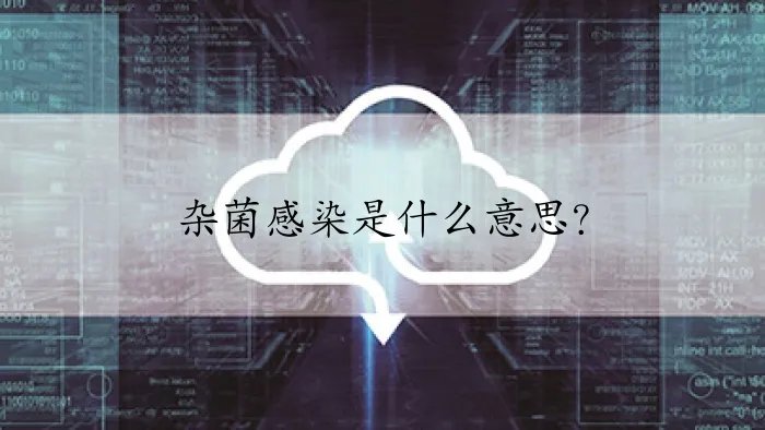 杂菌感染是什么意思?