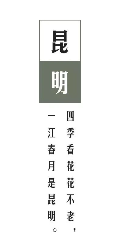 昆明万物|自然而然,天生万物