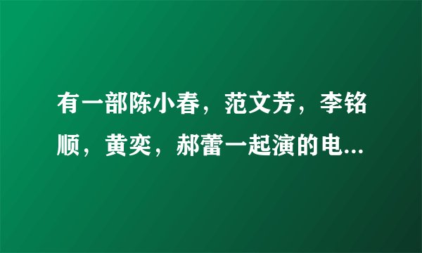 有一部陈小春，范文芳，李铭顺，黄奕，郝蕾一起演的电视剧叫什么名字？