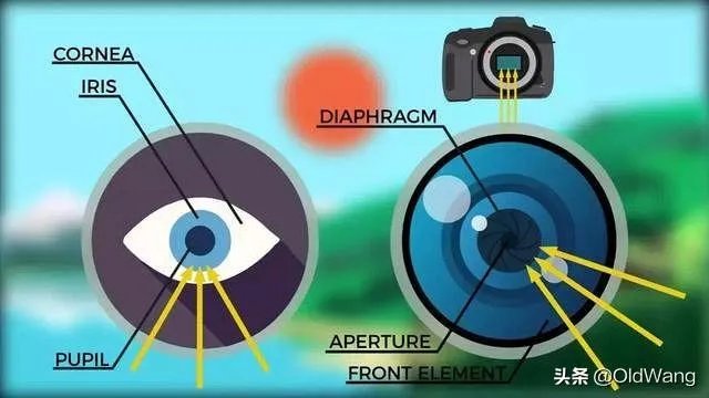 苹果手机1200万像素真的吊打4000万像素的专业相机吗？