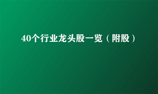 40个行业龙头股一览（附股）
