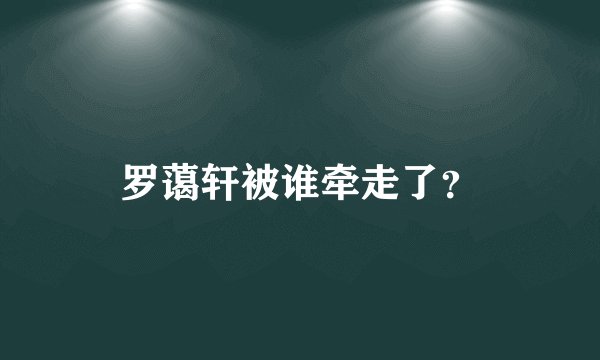 罗蔼轩被谁牵走了?