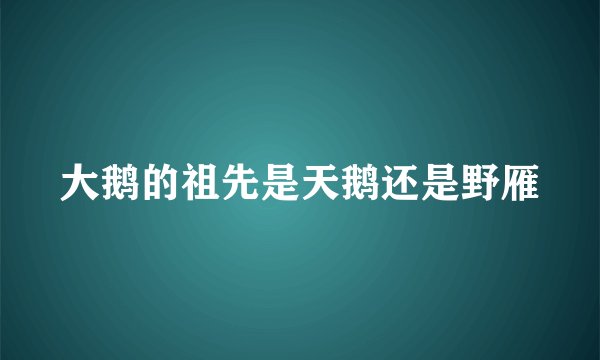 大鹅的祖先是天鹅还是野雁