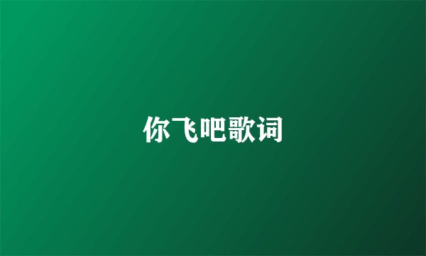 你飞吧歌词