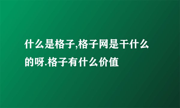 什么是格子,格子网是干什么的呀.格子有什么价值