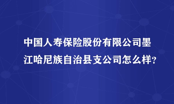 中国人寿保险股份有限公司墨江哈尼族自治县支公司怎么样？