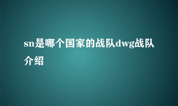 sn是哪个国家的战队dwg战队介绍
