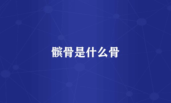 髌骨是什么骨