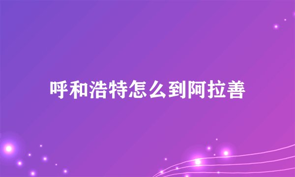 呼和浩特怎么到阿拉善