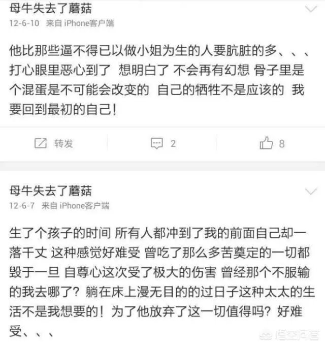如何评价张檬?