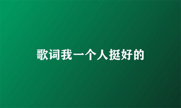 歌词我一个人挺好的