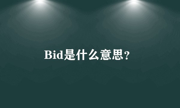 Bid是什么意思?