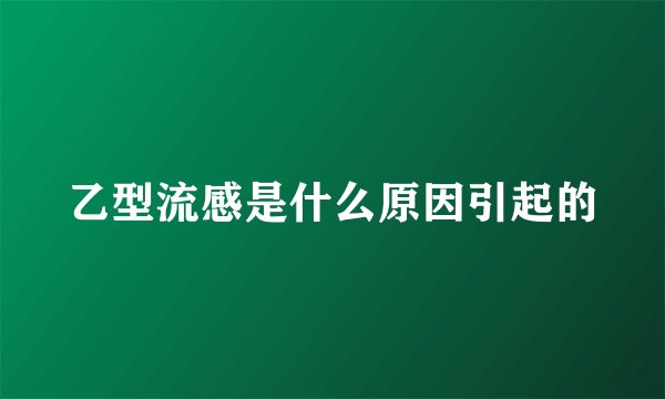 乙型流感是什么原因引起的