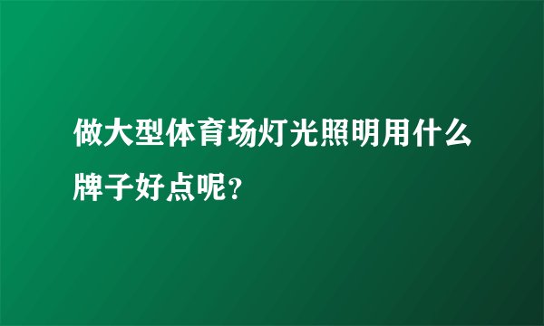 做大型体育场灯光照明用什么牌子好点呢？