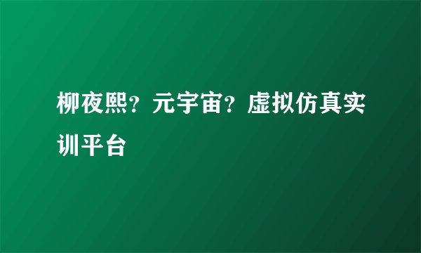 柳夜熙？元宇宙？虚拟仿真实训平台