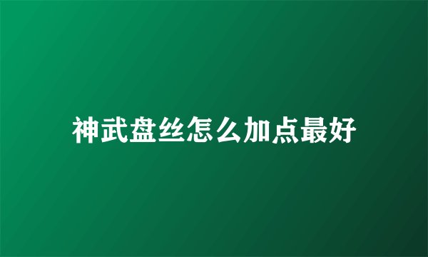 神武盘丝怎么加点最好