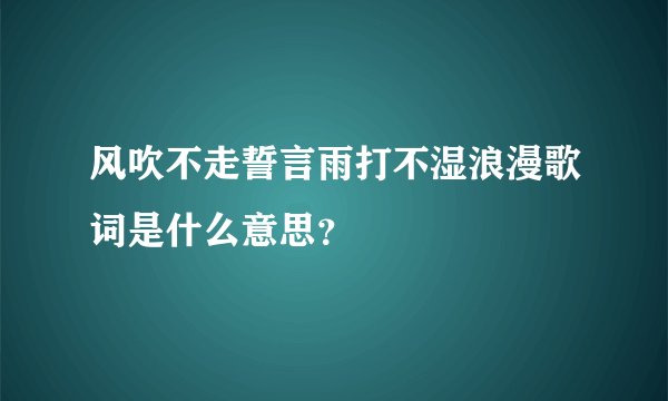 风吹不走誓言雨打不湿浪漫歌词是什么意思？