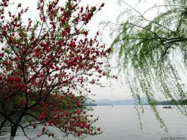 南京南站一男子被高铁列车夹站台身亡，应该怪谁？