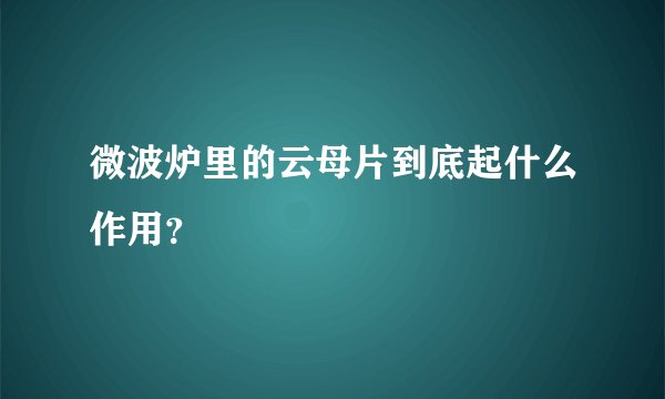 微波炉里的云母片到底起什么作用？