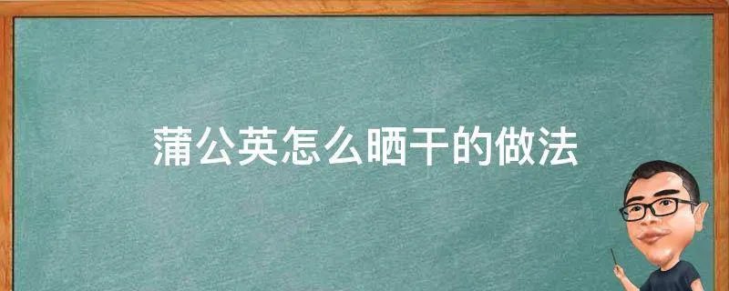 蒲公英怎么晒干的做法