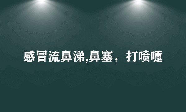 感冒流鼻涕,鼻塞，打喷嚏