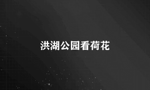 洪湖公园看荷花