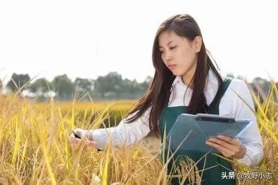 农村老话“大暑凉飕飕,立冬笑死牛”是啥意思?有道理吗?