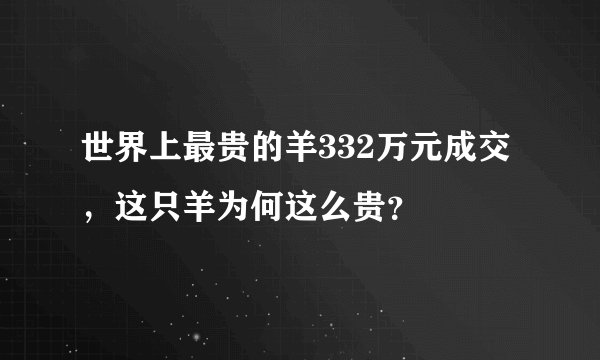 世界上最贵的羊332万元成交，这只羊为何这么贵？