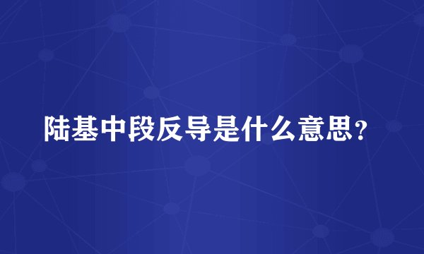 陆基中段反导是什么意思？