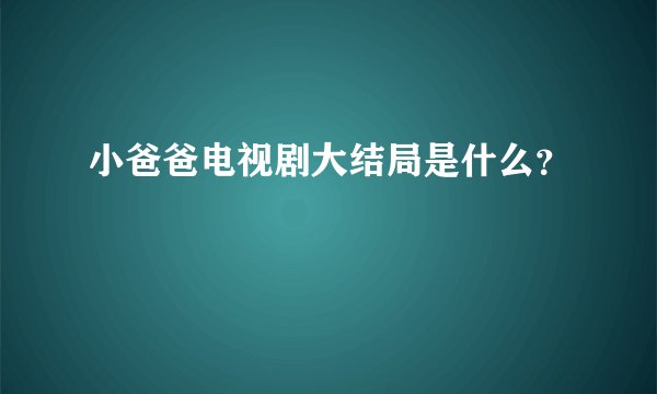 小爸爸电视剧大结局是什么?