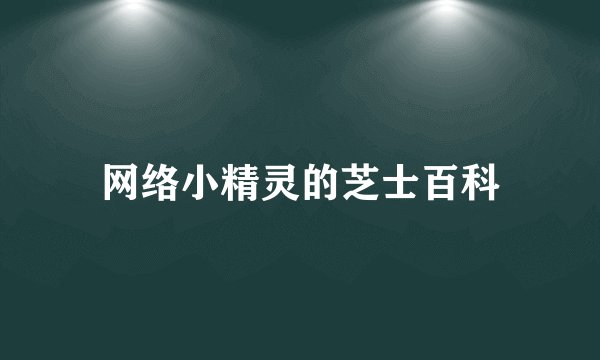 网络小精灵的芝士百科