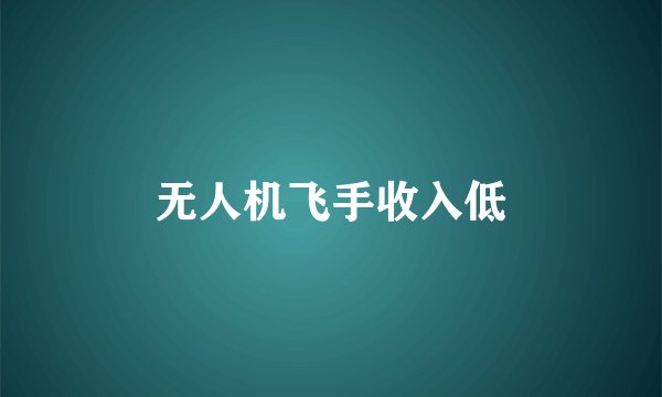 无人机飞手收入低