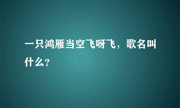 一只鸿雁当空飞呀飞，歌名叫什么？
