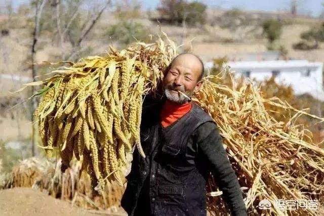 对农村的高龄老人国家有什么津贴补偿或政策?