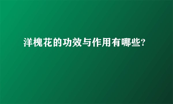 洋槐花的功效与作用有哪些?