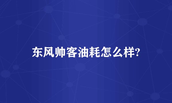 东风帅客油耗怎么样?