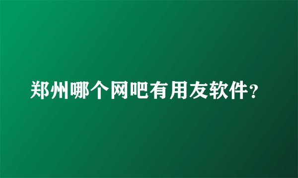 郑州哪个网吧有用友软件？