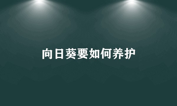 向日葵要如何养护